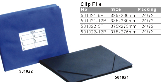 501022-501021->>DOCUMENT FOLDER